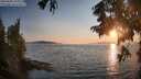 ./images/koeye/fitz-hugh/20250828/fitz-hugh20250828_194007M.jpg