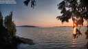 ./images/koeye/fitz-hugh/20250828/fitz-hugh20250828_200509M.jpg