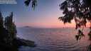 ./images/koeye/fitz-hugh/20250828/fitz-hugh20250828_204009M.jpg