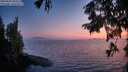 ./images/koeye/fitz-hugh/20250828/fitz-hugh20250828_204508M.jpg