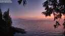 ./images/koeye/fitz-hugh/20250828/fitz-hugh20250828_205508M.jpg