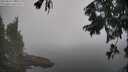 ./images/koeye/fitz-hugh/20250829/fitz-hugh20250829_103510M.jpg