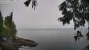 ./images/koeye/fitz-hugh/20250829/fitz-hugh20250829_104510M.jpg