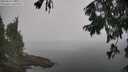 ./images/koeye/fitz-hugh/20250829/fitz-hugh20250829_105011M.jpg