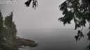 ./images/koeye/fitz-hugh/20250829/fitz-hugh20250829_111010M.jpg