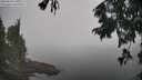 ./images/koeye/fitz-hugh/20250829/fitz-hugh20250829_111511M.jpg