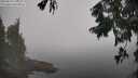 ./images/koeye/fitz-hugh/20250829/fitz-hugh20250829_115510M.jpg