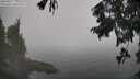 ./images/koeye/fitz-hugh/20250829/fitz-hugh20250829_123510M.jpg