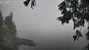 ./images/koeye/fitz-hugh/20250829/fitz-hugh20250829_130510M.jpg