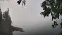 ./images/koeye/fitz-hugh/20250829/fitz-hugh20250829_135510M.jpg
