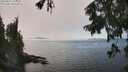 ./images/koeye/fitz-hugh/20250829/fitz-hugh20250829_142510M.jpg