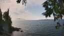 ./images/koeye/fitz-hugh/20250829/fitz-hugh20250829_144511M.jpg