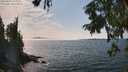./images/koeye/fitz-hugh/20250829/fitz-hugh20250829_145011M.jpg