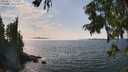 ./images/koeye/fitz-hugh/20250829/fitz-hugh20250829_145510M.jpg