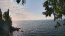 ./images/koeye/fitz-hugh/20250829/fitz-hugh20250829_150510M.jpg