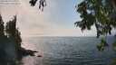 ./images/koeye/fitz-hugh/20250829/fitz-hugh20250829_151011M.jpg