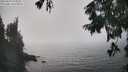 ./images/koeye/fitz-hugh/20250829/fitz-hugh20250829_154511M.jpg