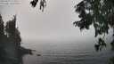 ./images/koeye/fitz-hugh/20250829/fitz-hugh20250829_155011M.jpg