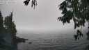 ./images/koeye/fitz-hugh/20250829/fitz-hugh20250829_155510M.jpg