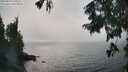 ./images/koeye/fitz-hugh/20250829/fitz-hugh20250829_160510M.jpg
