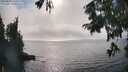 ./images/koeye/fitz-hugh/20250829/fitz-hugh20250829_163510M.jpg