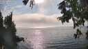 ./images/koeye/fitz-hugh/20250829/fitz-hugh20250829_164011M.jpg