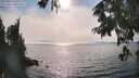 ./images/koeye/fitz-hugh/20250829/fitz-hugh20250829_165011M.jpg