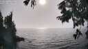 ./images/koeye/fitz-hugh/20250829/fitz-hugh20250829_170012M.jpg