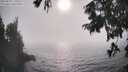 ./images/koeye/fitz-hugh/20250829/fitz-hugh20250829_171009M.jpg