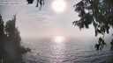 ./images/koeye/fitz-hugh/20250829/fitz-hugh20250829_172011M.jpg