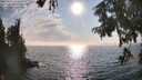 ./images/koeye/fitz-hugh/20250829/fitz-hugh20250829_173011M.jpg