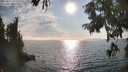 ./images/koeye/fitz-hugh/20250829/fitz-hugh20250829_173510M.jpg