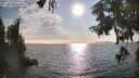 ./images/koeye/fitz-hugh/20250829/fitz-hugh20250829_174010M.jpg