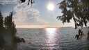 ./images/koeye/fitz-hugh/20250829/fitz-hugh20250829_174511M.jpg