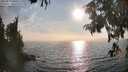 ./images/koeye/fitz-hugh/20250829/fitz-hugh20250829_180510M.jpg