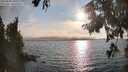 ./images/koeye/fitz-hugh/20250829/fitz-hugh20250829_181511M.jpg