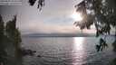 ./images/koeye/fitz-hugh/20250829/fitz-hugh20250829_183510M.jpg
