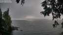 ./images/koeye/fitz-hugh/20250829/fitz-hugh20250829_185011M.jpg