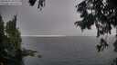 ./images/koeye/fitz-hugh/20250829/fitz-hugh20250829_190009M.jpg