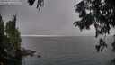 ./images/koeye/fitz-hugh/20250829/fitz-hugh20250829_190509M.jpg