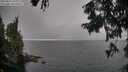 ./images/koeye/fitz-hugh/20250829/fitz-hugh20250829_191010M.jpg