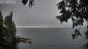 ./images/koeye/fitz-hugh/20250829/fitz-hugh20250829_193009M.jpg