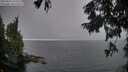 ./images/koeye/fitz-hugh/20250829/fitz-hugh20250829_193509M.jpg