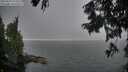 ./images/koeye/fitz-hugh/20250829/fitz-hugh20250829_194509M.jpg