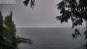 ./images/koeye/fitz-hugh/20250829/fitz-hugh20250829_195508M.jpg