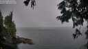./images/koeye/fitz-hugh/20250829/fitz-hugh20250829_202507M.jpg