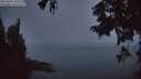 ./images/koeye/fitz-hugh/20250829/fitz-hugh20250829_205507M.jpg