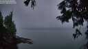 ./images/koeye/fitz-hugh/20250830/fitz-hugh20250830_062011M.jpg