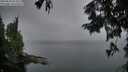 ./images/koeye/fitz-hugh/20250830/fitz-hugh20250830_063507M.jpg