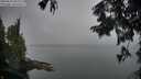 ./images/koeye/fitz-hugh/20250830/fitz-hugh20250830_070011M.jpg